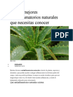 Antiinflamatorios Naturales