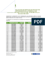 Resultados Perfil de Proyectos PDF