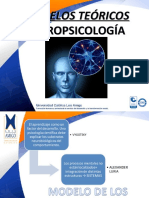 Presentacion Modelos Teoricos de La Neuropsicologia
