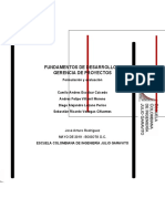 PROYECTO FINAL FGDP.docx NNN.docx