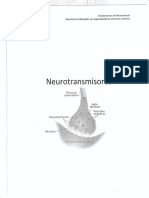 Neurotransmisores.pdf