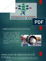 investigación hidratos de gas