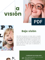 Baja Visión PDF