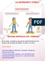 Sistemas Reproductores