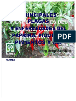 PDF Principales Plagas y Enfermedades Del Paprika Piquillo Pimientos y Aji