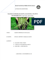 PDF Manejo Integrado de Plagas en Esparrago