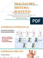 Diapositivas de Anomalias Del Sistema Digestivo