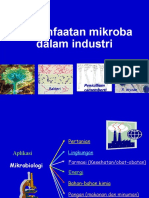Aplikasi MikroOrganisme dalam Industri.pptx