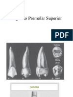 Segundo Premolar Superior