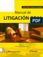 Litigacion Oral Ivan Pedro