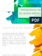 Metabolismo de Los Ácidos Biliares