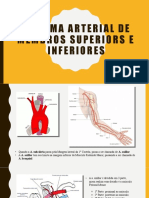 Sistema arterial de membros superiores 2.pptx