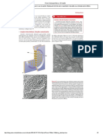 Histologia 