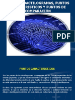 Dactiloscopia Puntos Caracteristicos