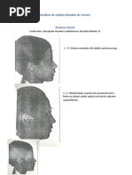 ANALISIS Facial | PDF | Cara | Ortodoncia