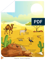 Desert PDF