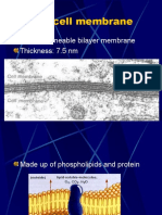 The Cell Membrane: A Semipermeable Bilayer Membrane Thickness: 7.5 NM