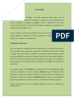 EL INFORME (2).docx