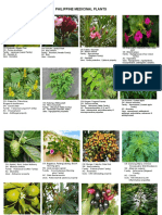 Philippine Medicinal Plants
