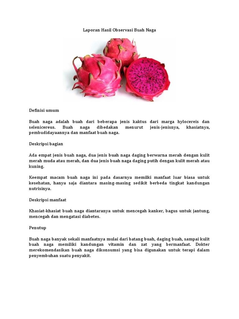 Laporan Hasil Observasi Buah Naga | PDF