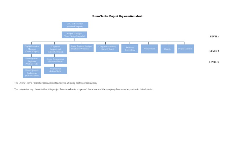 DroneTech Project Organization Chart | PDF