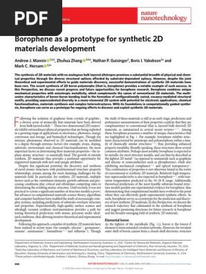 Borophene As A Prototype For Synthetic 2D Materials Development 