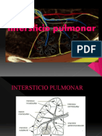 Anatomia pulmonar normal