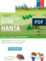 PRESENTACION HANTA.pdf