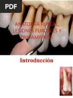 Uso y tipos de periostotomos en odontología | PDF | Cirugía Oral y ...