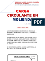 Carga Circulante en La Sección Molienda 2020