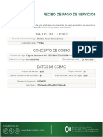 Recibo de Pago de Servicio PDF