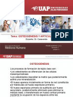 10.- OSTEOGENESIS Y ARTICULACIONES UAP