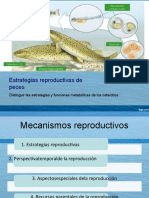 Estrategias Reproductivas de Peces