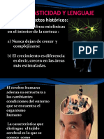 NEUROPLASTICIDAD Y DESARROLLO DEL LENGUAJE