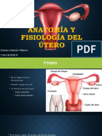 Anatomía y fisiología del útero