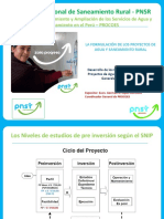 Exposicion Procoes Pre Inversion