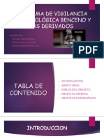 Pve-Benceno y Sus Derivados PDF
