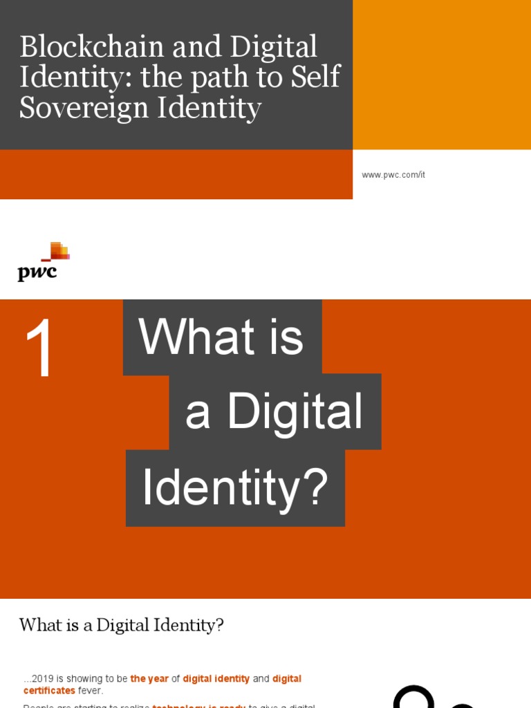 Blockchain and Digital Identity: The Path To Self Sovereign Identity ...