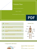 Fase 2 - Sistema Óseo, Muscular y Nervioso Del Cuerpo Humano