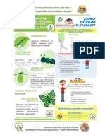 Guia de Aprendizaje Grado 11 III P Modalidad