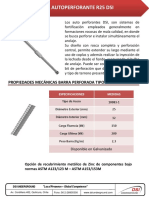Autoperforante R25 DSI - 16 - 10 PDF