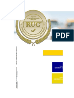 Instructivo RSE - RUC