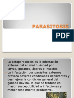 parasitosis en rumiantes