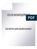 Ciclos Biogeoquimicos