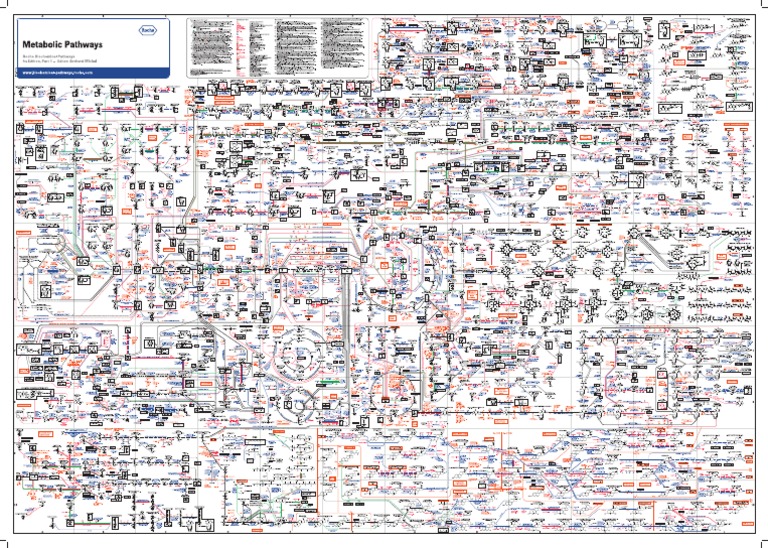 Biochemical Plan 1 Neu 20180125 A0 Print PDF | PDF