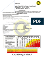 155 Enfermedades Causadas Por El Calor.