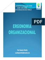 Aula 5 Ergonomia Organizacional (Modo de Compatibilidade)