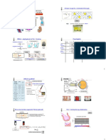 FOKtransz13 - 2 PDF