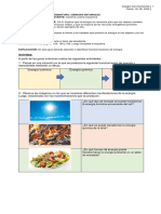 Guía nº13 Ciencias Naturales 6ºA