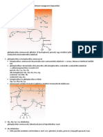 Glikolitikus Intermedierek És Az Aminosav-Anyagcsere Kapcsolatai